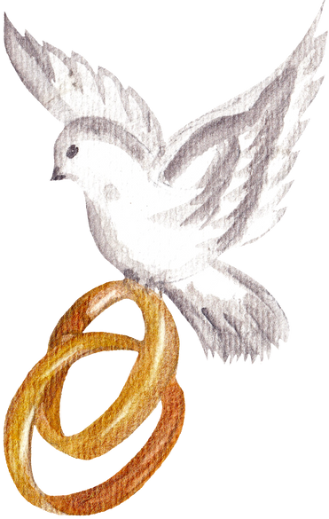 Watercolor Dove with Wedding Rings